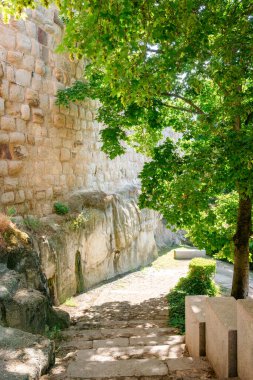 İspanya, Zamora 'daki Bağlılık Kapısı' nın yanındaki antik taş duvar ve bitki örtüsü..