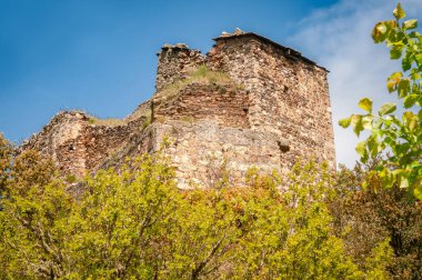 Eski Alba Şatosu, Zamora, İspanya, ağaçların arasındaki tepede.