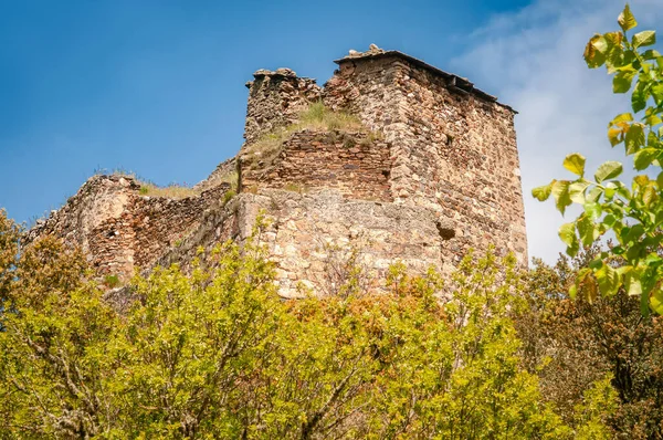 Eski Alba Şatosu, Zamora, İspanya, ağaçların arasındaki tepede.