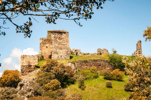 Losacino, Zamora, İspanya 'daki Alba Kalesi harabeleri.