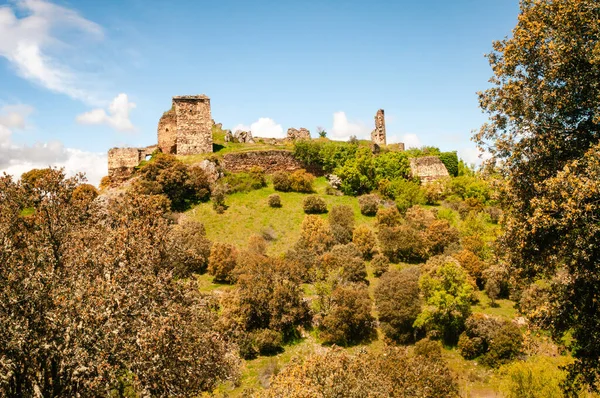 Alba, Losacino, Zamora, İspanya 'nın eski şatosunun kalıntıları yeşil tepede.