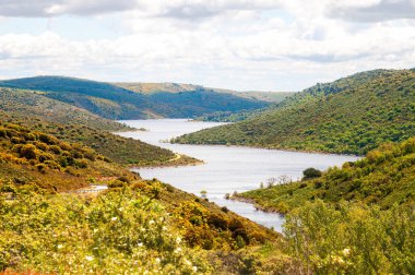 Zamora 'daki tepelerin ve Aliste Nehri' nin güzel manzarası.