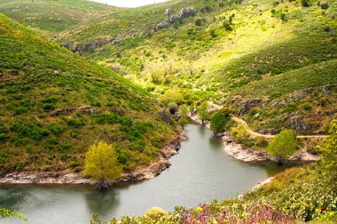 Yeşil tepeleri, akan nehirleri ve çiçekleri olan bahar manzarası.