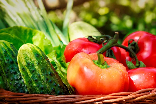 Légumes frais dans le panier tissé — Photo