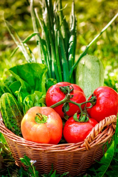Légumes frais dans le panier tissé — Photo