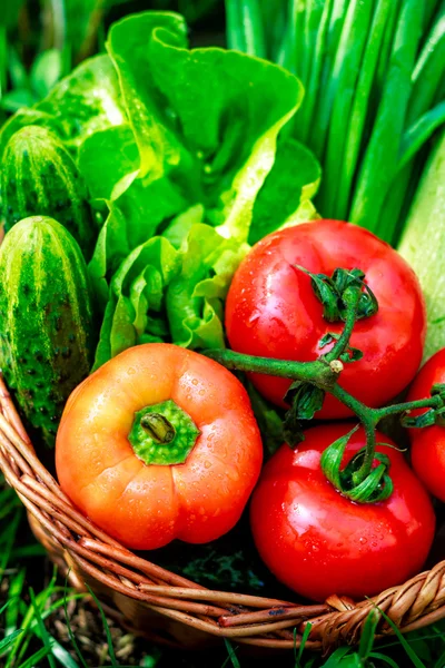 Légumes frais dans le panier tissé — Photo