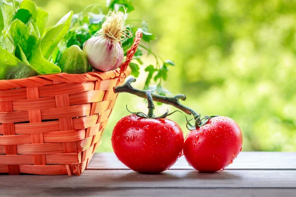 Légumes sur fond vert — Photo