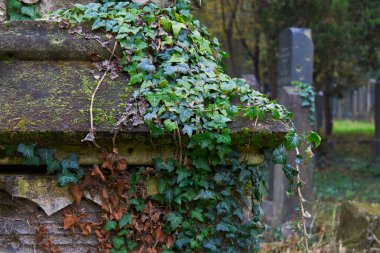Mezarlık mezar taşıma
