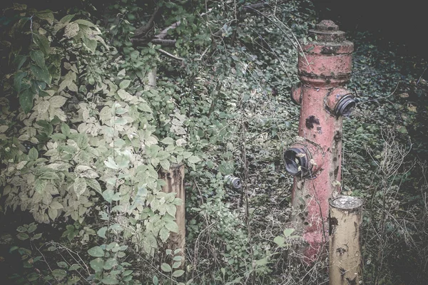 Zaman terk edilmiş yerlerde