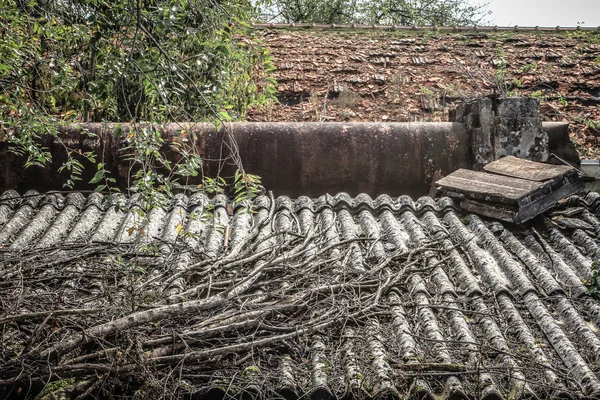 Zaman terk edilmiş yerlerde