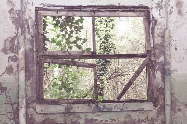 Zaman terk edilmiş yerlerde