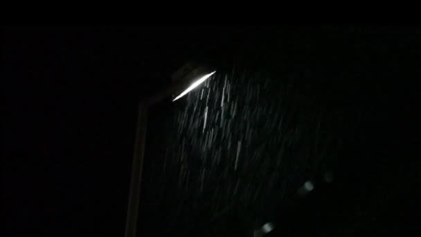 Ficklampa och regn — Stockvideo