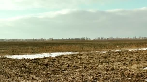 Fältet i början av våren Panorama — Stockvideo