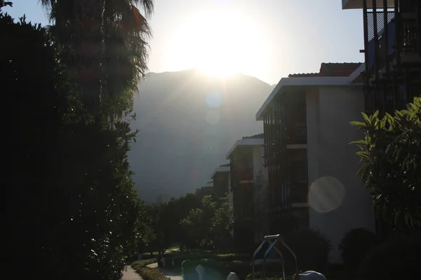 Die Sonne Geht Hinter Dem Berg Unter Mit Palmen — Stockfoto