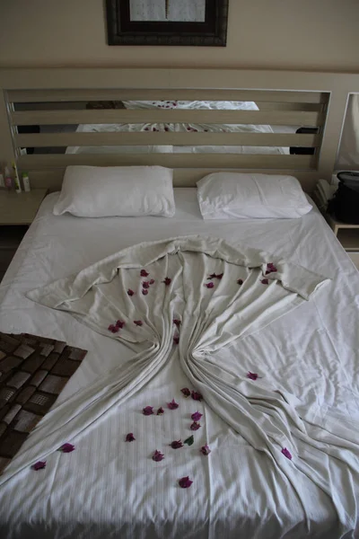 Ліжко Пелюстками Троянд Кімнаті — стокове фото