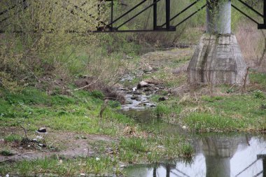 taş köprünün altındaki eski bir nehrin ağzı.