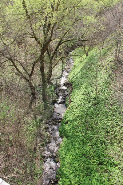 Une Petite Rivière Sur Les Collines Rocheuses Été — Photo