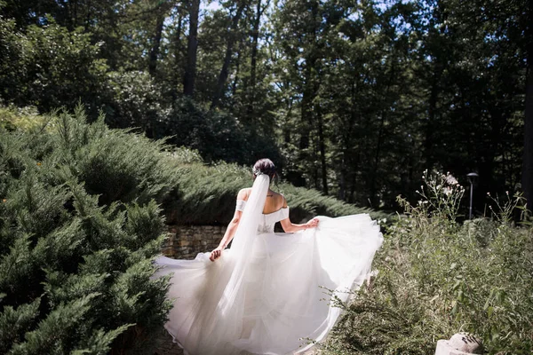 Наречена Весільній Сукні Нею Спиною Парку — стокове фото