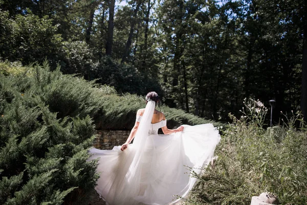 Sposa Abito Sposa Con Schiena Nel Parco — Foto Stock