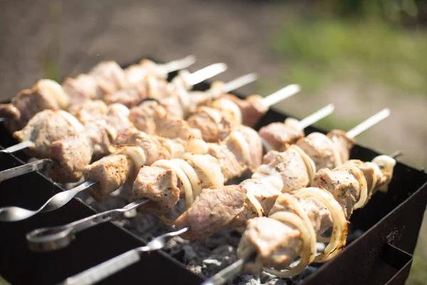 Vlees Kebab Worden Gebakken Grill Natuur — Stockfoto