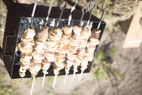 Kebaby Mięsne Smażone Grillu Naturze — Zdjęcie stockowe