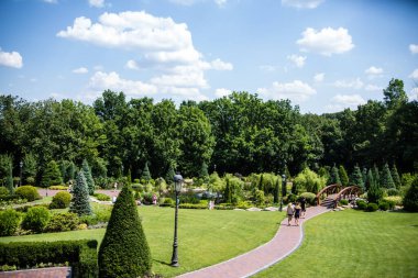 Yeşil ağaçları ve mavi gökyüzü olan güzel bir park.