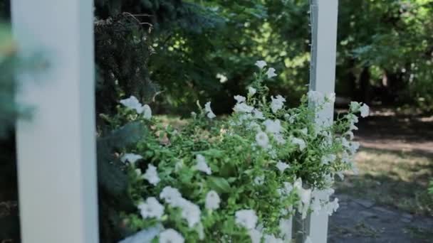 夏天花园阳台上的花朵 — 图库视频影像