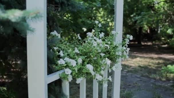 夏天花园阳台上的花朵 — 图库视频影像