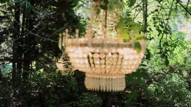 Gran Lámpara Araña Cristal Jardín Verde — Vídeo de stock