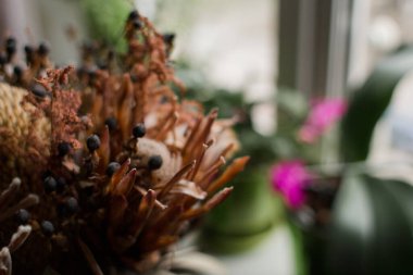 Mutfaktaki masanın üstündeki vazoda kurumuş bir çiçek.