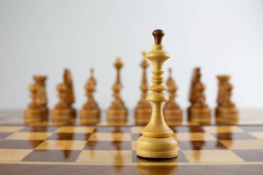 Siyah satranç sahasında beyaz bir kral.