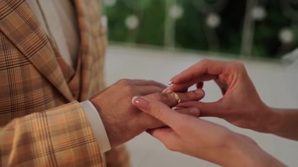 Menyasszony Vőlegény Jegygyűrűt Húznak Ujjukra — Stock videók