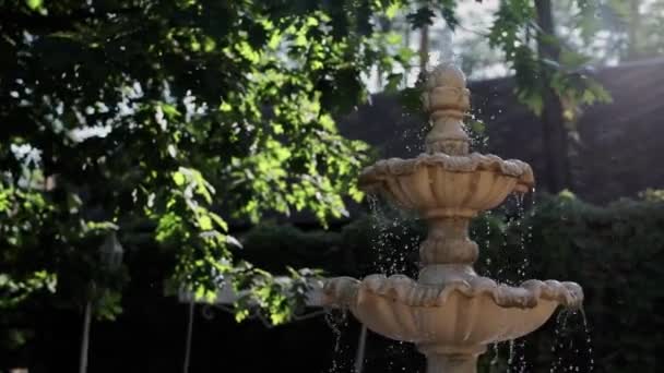 Hermosa Fuente Decorativa Jardín — Vídeo de stock