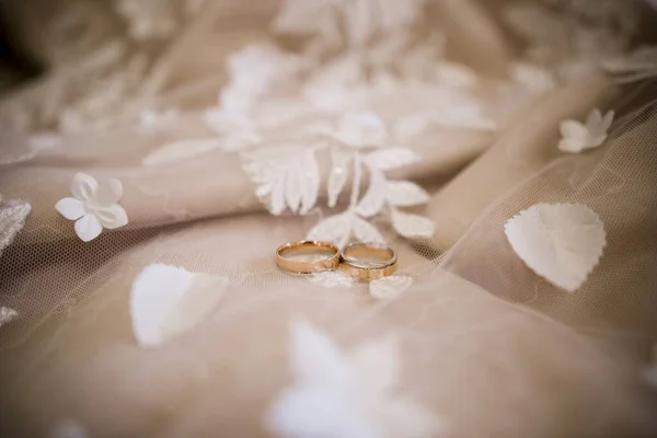 Gold Rings Bride Wedding Dress — Stock Photo, Image