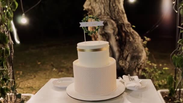 Hermoso Pastel Boda Blanco Noche Parque — Vídeos de Stock