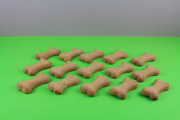 a dog food bones on green background pattern