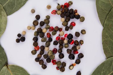 Beyaz arka planda karabiberli bir defne yaprağı.