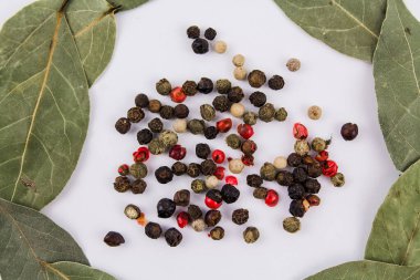 Beyaz arka planda karabiberli bir defne yaprağı.