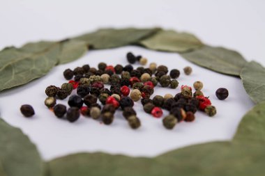 Beyaz arka planda karabiberli bir defne yaprağı.