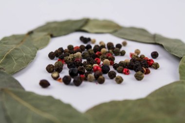 Beyaz arka planda karabiberli bir defne yaprağı.