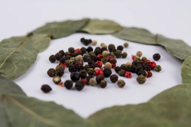 Beyaz arka planda karabiberli bir defne yaprağı.