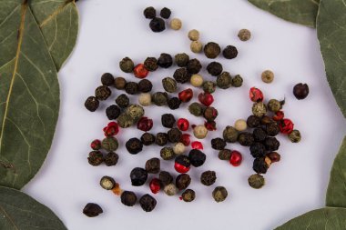 Beyaz arka planda karabiberli bir defne yaprağı.