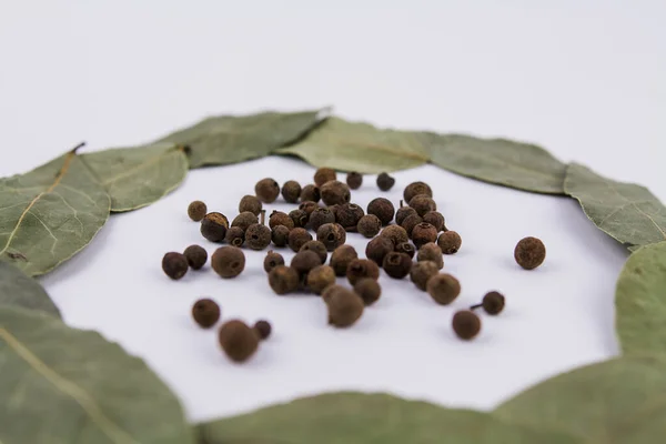 Una Hoja Laurel Con Guisantes Dulces Sobre Fondo Blanco —  Fotos de Stock