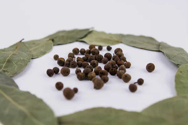 Una Hoja Laurel Con Guisantes Dulces Sobre Fondo Blanco —  Fotos de Stock