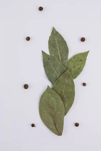 Una Hoja Laurel Con Guisantes Dulces Sobre Fondo Blanco —  Fotos de Stock