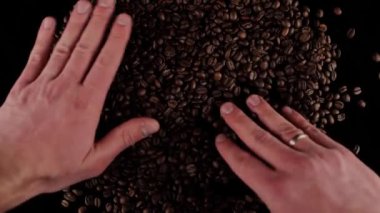 Erkek elleri taze kavrulmuş kahve tanelerini ayırıyor.