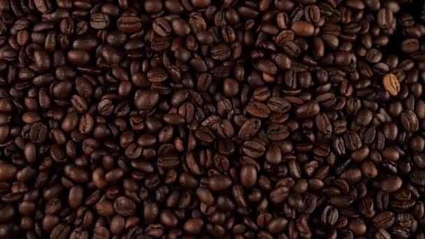 Een Vers Gebrande Koffiebonen Die Tafel Vallen — Stockvideo