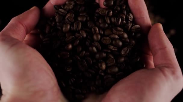 Chicchi Caffè Appena Tostati Che Fuoriescono Dalle Mani — Video Stock