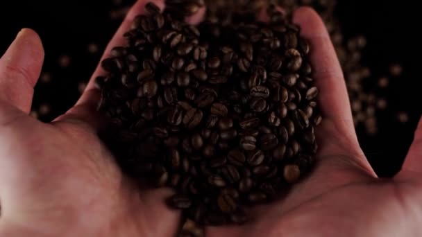 Freshly Roasted Coffee Beans Pouring Out Hands — Stock Video