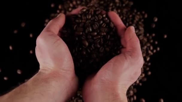 Φρεσκοψημένοι Κόκκοι Καφέ Που Βγαίνουν Από Χέρια — Αρχείο Βίντεο